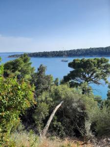 een zeilboot in het water met bomen en een meer bij Old Town Rab Studio apartment in Rab