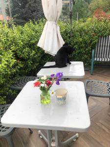 A garden outside Il Gelsomino