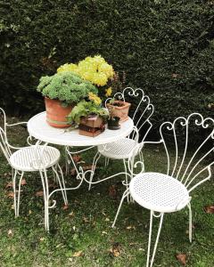 A garden outside Il Gelsomino