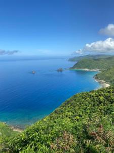 une île au milieu d'une grande étendue d'eau dans l'établissement Holiday Cottage BANSHIRO, à Setouchi