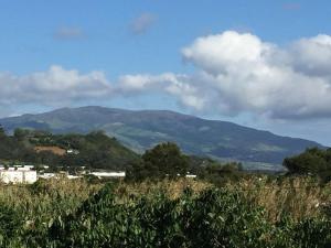 - une vue sur la montagne depuis un champ arboré dans l'établissement Villa Família, à Ponta Delgada