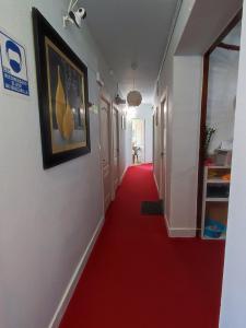 a corridor with a red carpet in a hallway at Pensión Mar Azul in Santiago de Compostela