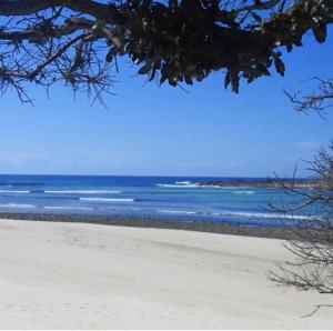 einen Strand mit dem Ozean im Hintergrund in der Unterkunft Toumbaal Plains - Exquisite architecturally designed home in Brooms Head + 2 Fotos
