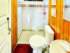a bathroom with a white toilet and a shower at Chalé Manacá House in Campos do Jordão +92 photos