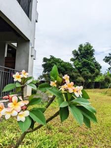 Taman di luar 里夏民宿.墾丁後壁湖