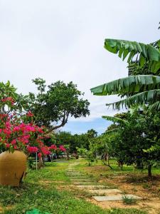 Taman di luar 里夏民宿.墾丁後壁湖