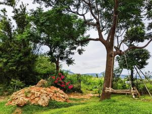 Landskap semula jadi dekat dengan homestay