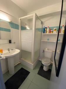 een badkamer met een douche, een toilet en een wastafel bij T2 lumineux au calme in Cayenne