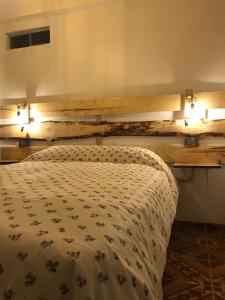 1 dormitorio con 1 cama y 2 luces en la pared en Casa de Ana B&B, en Huaraz