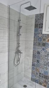 a shower with a shower head in a bathroom at Sofia's Studio in Pollonia