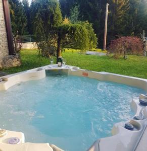 una gran piscina de agua en un patio en Gorska Vila, en Mrkopalj