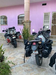 Fotografie z fotogalerie ubytování Sofia Hostel Cabo v destinaci Cabo San Lucas