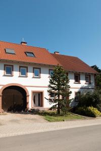 een groot wit huis met een boom ervoor bij Ferienhaus am Mühlenpfad in Ottweiler