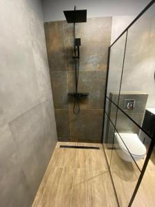 a bathroom with a shower with a toilet in it at Apartament pod Świątynią Wang in Karpacz