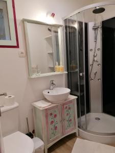 a bathroom with a sink and a shower at Charmant logis au coeur de Mirepoix in Mirepoix