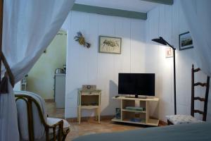 - une chambre avec un lit et une télévision sur une table dans l'établissement Domaine du Lac de la vallée, à La Roquette-sur-Siagne