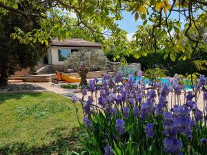 a garden with purple flowers in front of a house at Chez Amélie in Crémieu