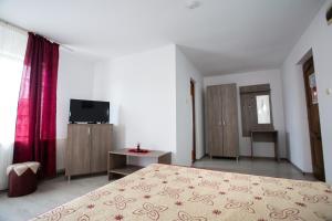 a bedroom with a bed and a television in it at Pensiunea Poarta Apusenilor in Moldoveneşti