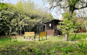 Vonkajšia záhrada v ubytovaní Flamingo Apartments