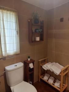 a bathroom with a toilet and a shelf with towels at A Parada do Camiño in Arzúa