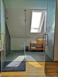 a shower with a glass door in a bathroom at Weingut Albert, Familie Cramer in Kitzeck im Sausal