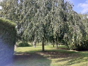 Zahrada ubytování Manoir de Camblain