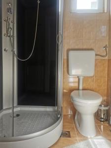 a bathroom with a shower and a toilet at BM Apartman in Zalakaros