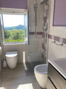 a bathroom with a toilet and a shower and a sink at il Podere La Casina in Monsummano Terme +78 photos