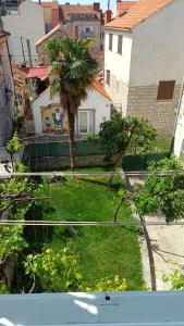 a view of a yard with a palm tree at Old stone house in historical area in Split