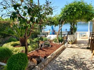 a garden with a tree and plants and the ocean at APARTMAN VINKO in Barbat na Rabu