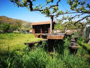 a wooden picnic table in a field with a building at Casa do Pontelhão Serra d'Arga in Arga de Cima