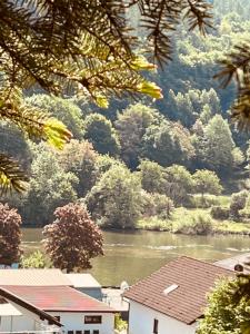 Naturlandschaft in der Nähe der Ferienwohnung