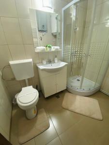 a bathroom with a toilet and a shower and a sink at Mara apartment in Băile Herculane