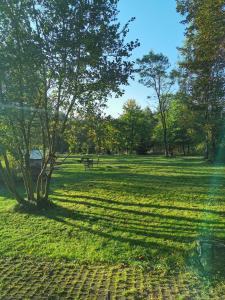 a park with a bench and a tree in the grass at Gierałtówka Apartamenty in Nowy Gierałtów
