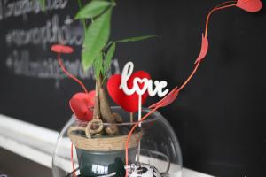 a plant in a glass vase on a table at Residence & Suites in Bellaria-Igea Marina