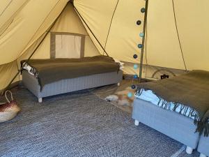 namiot z psem leżącym na podłodze w obiekcie Havsängen w mieście Ljugarn