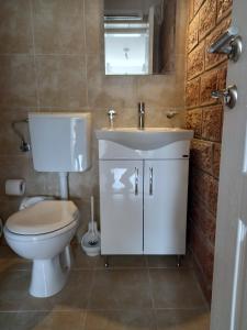 a bathroom with a toilet and a sink and a mirror at Apartman Dardic in Herceg-Novi
