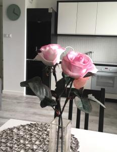 Fotografia z galérie ubytovania Apartament Miętowa Zebra v destinácii Olsztyn