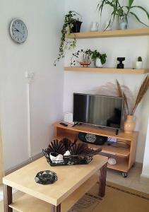 TV a/nebo společenská místnost v ubytování Little Paradise in Siviri