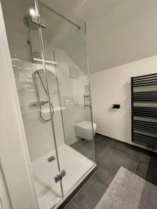 uma cabina de duche em vidro numa casa de banho com WC em Chalet beim Georgi Schloss em Ehrenhausen