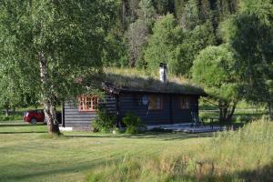a small log cabin with a grass roof at Morgedal Camping in Morgedal