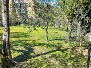 Vonkajšia záhrada v ubytovaní Appartamento con giardino e parcheggio riservato