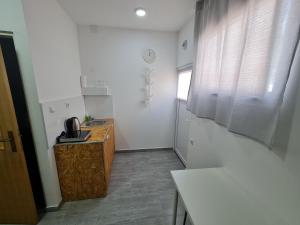 una pequeña cocina con fregadero y encimera en Budget Apartment LeLo Center1, en Osijek
