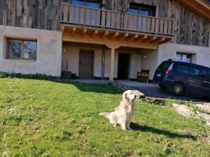 Zwierzęta zatrzymujące się w obiekcie Casa rural Lastoetxe