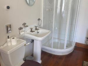 W łazience znajduje się prysznic, umywalka i toaleta. w obiekcie Die Kliphuis w mieście Standerton