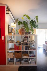 Knihovna v apartmánu