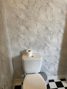 een badkamer met een toilet en een rol toiletpapier erop bij Riversvale Hotel in Blackpool