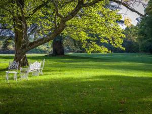 deux chaises blanches assises sous un arbre dans un champ dans l'établissement Château De Razay, à Céré-la-Ronde