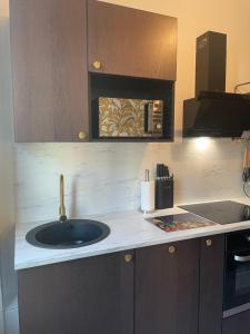 eine Küchentheke mit einer Spüle und einer Mikrowelle in der Unterkunft Appartement au calme et bow window quartier plage in Mers-les-Bains