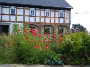 einen Garten vor einem Haus mit roten Blumen in der Unterkunft Doppelzimmer Dora Oberlausitzer Hof in Leutersdorf